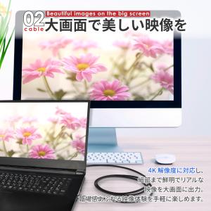 HDMI 変換ケーブル Type-C 変換アダ...の詳細画像4
