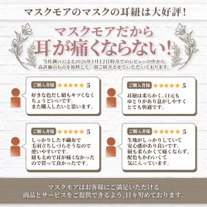 マスク 不織布 立体 不織布マスク おしゃれ ...の詳細画像3