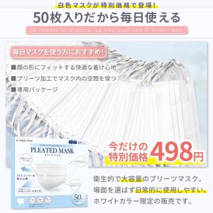 マスク 不織布 50枚 不織布マスク プリーツ...の詳細画像5