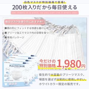 マスク 不織布 200枚 不織布マスク プリー...の詳細画像5