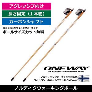 HATACHI（ハタチ） ノルディックウォーキングポール／ 2段伸縮タイプ