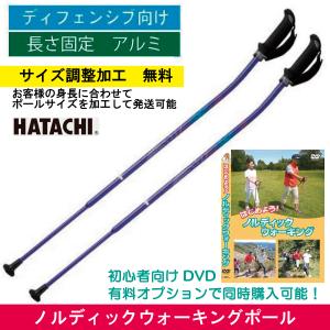 HATACHI（ハタチ） ノルディックウォーキングポール／ 2段伸縮タイプ