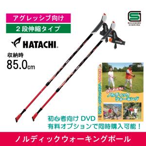 HATACHI（ハタチ） ノルディックウォーキングポール／ 2段伸縮タイプ