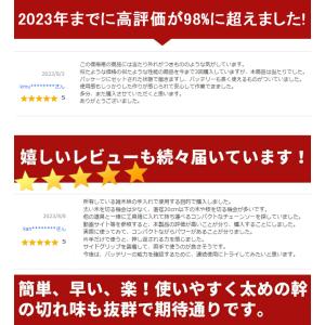 【Yahoo!1位】チェーンソー 充電式 マキ...の詳細画像2