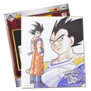 一番くじ ドラゴンボール アニメ30周年記念 E賞 30周年記念色紙 孫悟空 ベジータ 色紙 色コレ 単品｜masshon-y