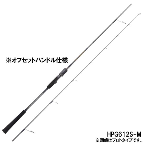 天龍 ジギングロッド ホライゾン プログレッシブ HPG612S-M【大型商品】【同梱不可】【他商品...