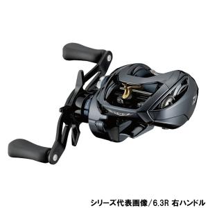 DAIWA（ダイワ） 6/19-21は全品+P5% ベイトリール STEEZ A TW HLC 6.3