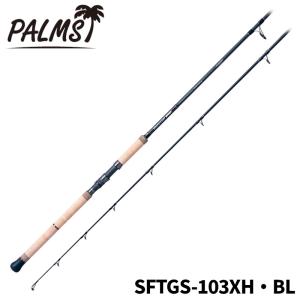 天龍 ショアジギングロッド パワーマスター PM9102S-XX【大型商品