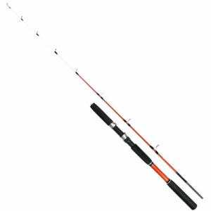 PRO MARINE プロマリン CB レッドスキッパーヤリイカ 175MH 1.75m 188g