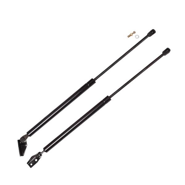 【並行輸入品】PM Auto Pair of 2 Rear L R Liftgate Lift Su...