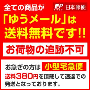 Switch Lite スイッチライト フィル...の詳細画像1