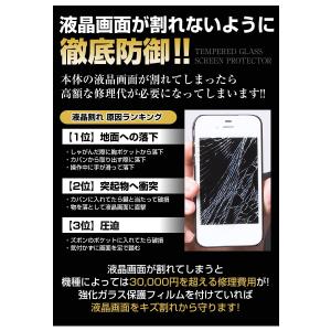 Switch Lite スイッチライト フィル...の詳細画像3