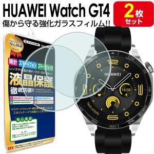 Approach ガーミン GARMIN S60 フィルム ガラスフィルム 2枚セット