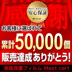 3Dフルカバー 2枚セット GARMIN VE...の詳細画像2