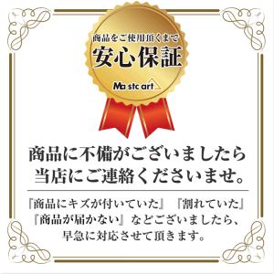 3Dフルカバー 2枚セット GARMIN VE...の詳細画像5
