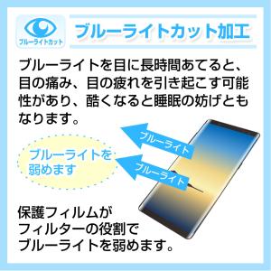 ブルーライトカット 2枚セット Nintend...の詳細画像1