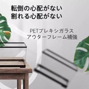 亀 水槽 大きい 12個セット タートルタンク...の詳細画像1
