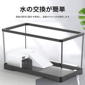 亀 水槽 大きい 12個セット タートルタンク...の詳細画像2