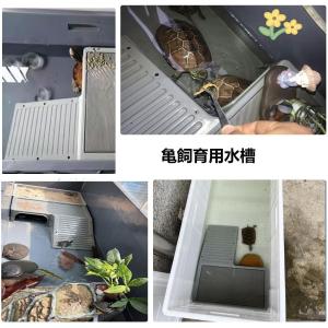 亀飼育用水槽 カメ用水槽 大型カメ飼育ケース ...の詳細画像5