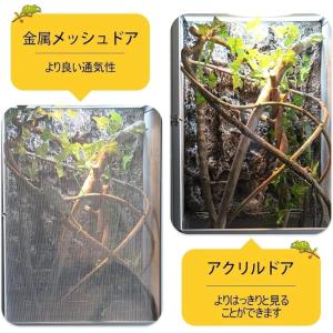 爬虫類ケージ 縦長アクリル飼育ボックス カメレ...の詳細画像2