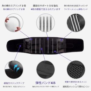 圧縮運動、スクワット、腰の筋肉の緊張のための二...の詳細画像1