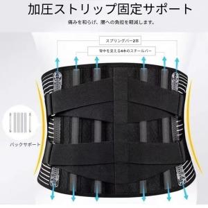 圧縮運動、スクワット、腰の筋肉の緊張のための二...の詳細画像3