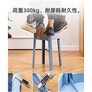 お風呂 椅子 浴室イス バスチェア 腰掛け ダ...の詳細画像3