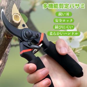 剪定バサミ 切れ味 SK5高炭素鋼刃 剪定ばさ...の詳細画像1