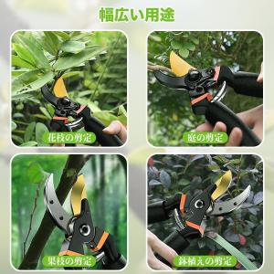 剪定バサミ 切れ味 SK5高炭素鋼刃 剪定ばさ...の詳細画像3