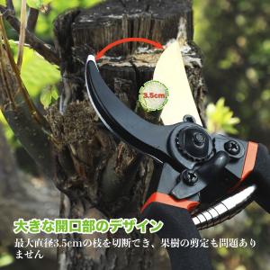 剪定バサミ 切れ味 SK5高炭素鋼刃 剪定ばさ...の詳細画像4