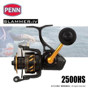 Penn（ペン） スラマー IV 5500 DX 送料無料 : ますびと商店 - 通販