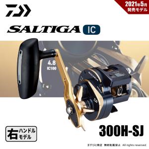 DAIWA（釣り） ダイワ SALTIGA BJ 62XHB TG・V