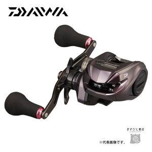 DAIWA（ダイワ） 紅牙 IC 100PL−RM ／カウンター付きリール