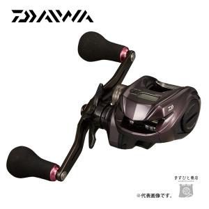 DAIWA（ダイワ） 紅牙 IC 100PL−RM ／カウンター付きリール