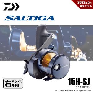 DAIWA（ダイワ） [90] 25 ソルティガ 10H-SJ 2026年追加機種 (G1
