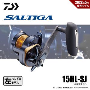 DAIWA（釣り） 21 タトゥーラ TW 300 釣り ベイトリール - 最