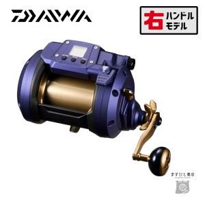 DAIWA（釣り） ダイワ シーパワー 1200 右ハンドル (2023年