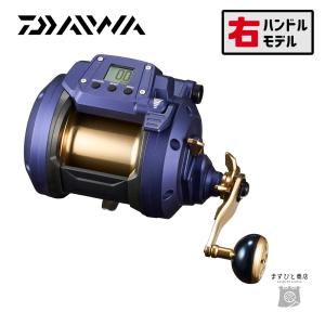 DAIWA（釣り） ダイワ 20 シーボーグ 300MJ 右ハンドル (2020年