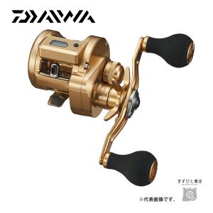 DAIWA（釣り） ダイワ 15キャタリナ BJ100P−RM