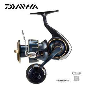DAIWA(釣り) ダイワ 23 ソルティガ 6000-H (2023年モデル DAIWA(釣り) ダイワ 23 ソルティガ 6000-H (2023年モデル