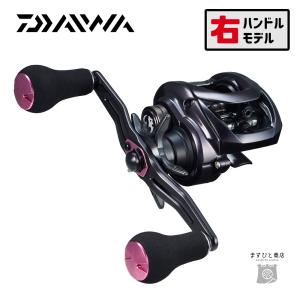 DAIWA - オーバーホール済‼︎ソルティガBJ100P-RM DAIWA - オーバーホール済‼︎ソルティガBJ100P-RM DAIWA（釣り