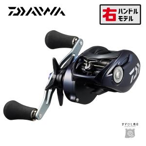 DAIWA（ダイワ） 23 ソルティスト TW 300XH PE SPECIAL 右ハンドル