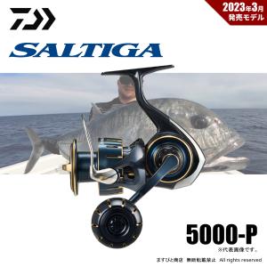 DAIWA(釣り) ダイワ 23 ソルティガ 6000-P (2024年追加モデル DAIWA(釣り) ダイワ 23 ソルティガ 6000-P (2024年追加モデル