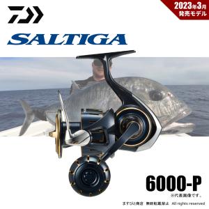 DAIWA(釣り) ダイワ 23 ソルティガ 6000-P (2024年追加モデル DAIWA(釣り) ダイワ 23 ソルティガ 6000-P (2024年追加モデル