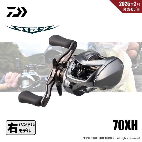 【半期決算】ダイワ 25 スティーズ リミテッド CT SV TW 70XH 送料無料