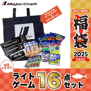 メジャークラフト 2025 福袋 ライトゲームセット 16点セット 送料無料