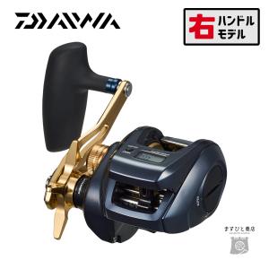 DAIWA(釣り) ダイワ '23 TIERRA LJ IC(ティエラ IC) 300HL DAIWA(釣り) ダイワ '23 TIERRA LJ IC(ティエラ IC) 300HL