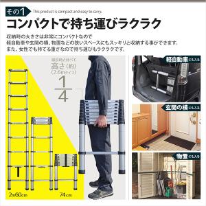 はしご 伸縮 梯子 伸縮はしご ハシゴ アルミ...の詳細画像2