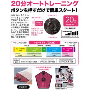 EMS 足裏 筋肉 電気 刺激 フットエクサペ...の詳細画像5