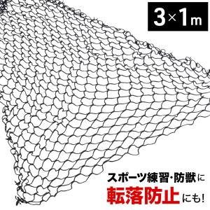 安全ネット ネット 網 転落 落下 防止 フェンス 1m×3m 網目5cm 階段ネット 多目的 階段 踊り場 吹き抜け 手すり｜masuda-shop